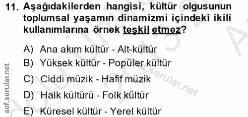 11. soru: Aşağıdakilerden hangisi, kültür olgusunun toplumsal yaşamın dinamizmi içindeki ikili kullanımlarına örnek teşkil etme…