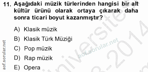 11. soru: Aşağıdaki müzik türlerinden hangisi bir alt kültür ürünü olarak ortaya çıkarak daha sonra ticari boyut kazanmıştır? A…