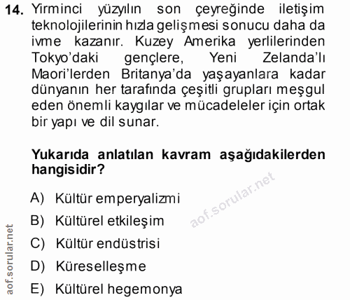 14. soru: Yirminci yüzyılın son çeyreğinde iletişim teknolojilerinin hızla gelişmesi sonucu daha da ivme kazanır. Kuzey Amerika…