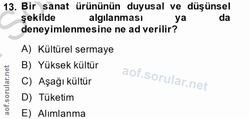 13. soru: Bir sanat ürününün duyusal ve düşünsel şekilde algilanması ya da deneyimlenmesine ne ad verilir? A) Kültürel sermaye…