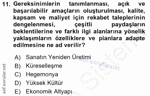 11. soru: Gereksinimlerin tanımlanması, açık ve başarılabilir amaçların oluşturulması, kalite, kapsam ve maliyet için rekabet t…