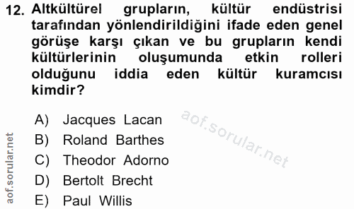 12. soru: Altkültürel grupların, kültür endüstrisi tarafından yönlendirildiğini ifade eden genel görüşe karşı çıkan ve bu grupl…