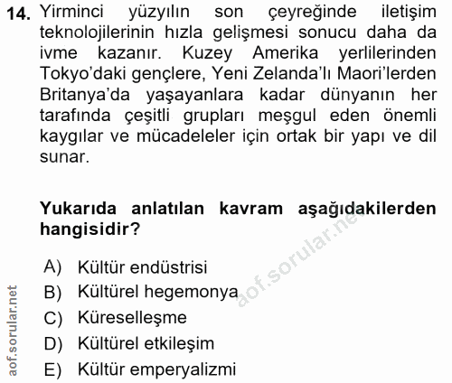 14. soru: Yirminci yüzyılın son çeyreğinde iletişim teknolojilerinin hızla gelişmesi sonucu daha da ivme kazanır. Kuzey Amerika…