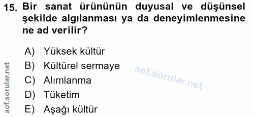 15. soru: Bir sanat ürününün duyusal ve düşünsel şekilde algılanması ya da deneyimlenmesine ne ad verilir? A) Yüksek kültür B)…