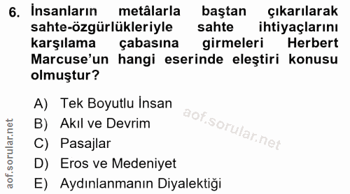 6. soru: Insanların metâlarla baştan çıkarılarak sahte-özgürlükleriyle sahte ihtiyaçlarını karşılama çabasına girmeleri Herber…