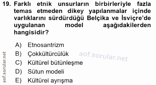19. soru: Farklı etnik unsurların birbirleriyle fazla temas etmeden dikey yapılanmalar içinde varlıklarını sürdürdüğü Belçika v…
