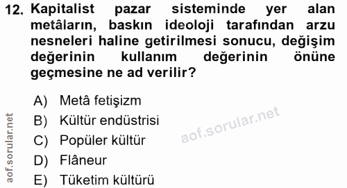 12. soru: Kapitalist pazar sisteminde yer alan metâların, baskın ideoloji tarafından arzu nesneleri haline getirilmesi sonucu,…