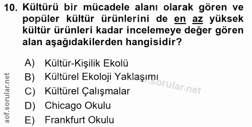 10. soru: Kültürü bir mücadele alanı olarak gören ve popüler kültür ürünlerini de en az yüksek kültür ürünleri kadar incelemeye…