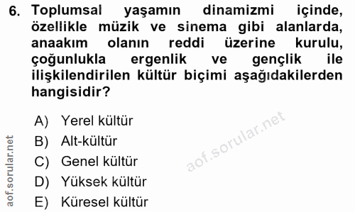 6. soru: Toplumsal yaşamın dinamizmi içinde, özellikle müzik ve sinema gibi alanlarda, anaakım olanın reddi üzerine kurulu, ço…
