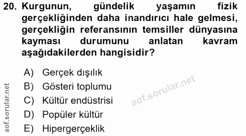 20. soru: Kurgunun, gündelik yaşamın fizik gerçekliğinden daha inandırıcı hale gelmesi, gerçekliğin referansının temsiller düny…