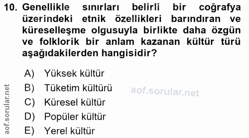 10. soru: Genellikle sınırları belirli bir coğrafya üzerindeki etnik özellikleri barındıran ve küreselleşme olgusuyla birlikte…