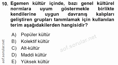 10. soru: Egemen kültür içinde, bazı genel kültürel normlara uyum göstermekle birlikte kendilerine uygun davranış kalıpları gel…