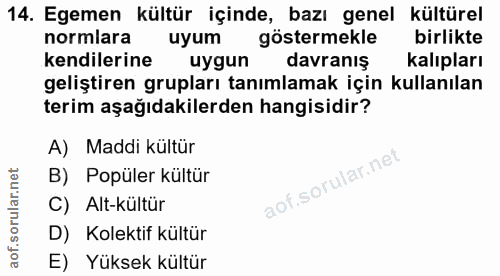 14. soru: Egemen kültür içinde, bazı genel kültürel normlara uyum göstermekle birlikte kendilerine uygun davranış kalıpları gel…