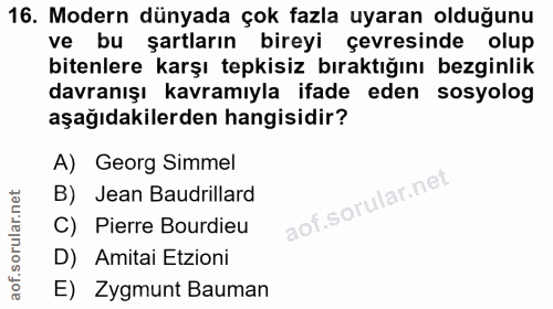 16. soru: Modern dünyada çok fazla uyaran olduğunu ve bu şartların bireyi çevresinde olup bitenlere karşı tepkisiz bıraktığını…