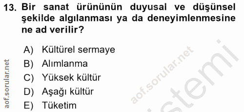 13. soru: Bir sanat ürününün duyusal ve düşünsel şekilde algılanması ya da deneyimlenmesine ne ad verilir? A) Kültürel sermaye…