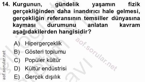 14. soru: Kurgunun, gündelik yaşamın fizik gerçekliğinden daha inandırıcı hale gelmesi, gerçekliğin referansının temsiller düny…