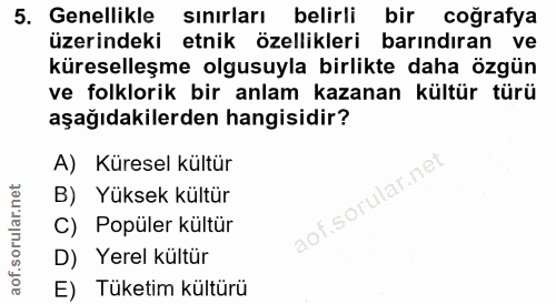 5. soru: Genellikle sınırları belirli bir coğrafya üzerindeki etnik özellikleri barındıran ve küreselleşme olgusuyla birlikte…