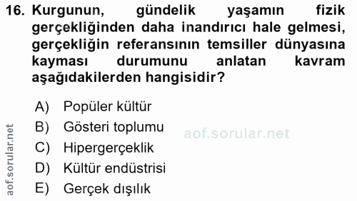 16. soru: Kurgunun, gündelik yaşamın fizik gerçekliğinden daha inandırıcı hale gelmesi, gerçekliğin referansının temsiller düny…