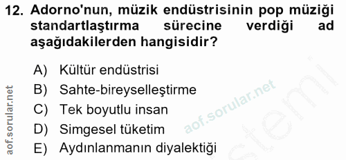 12. soru: Adorno'nun, müzik endüstrisinin pop müziği standartlaştırma sürecine verdiği ad aşağıdakilerden hangisidir? A) Kültür…
