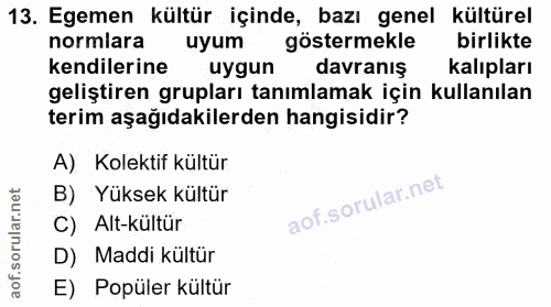13. soru: Egemen kültür içinde, bazı genel kültürel normlara uyum göstermekle birlikte kendilerine uygun davranış kalıpları gel…