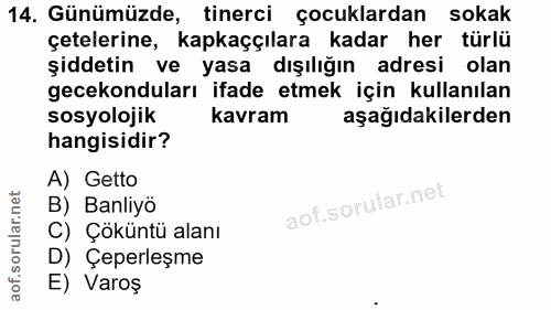14. soru: Günümüzde, tinerci çocuklardan sokak çetelerine, kapkaççılara kadar her türlü şiddetin ve yasa dışılığın adresi olan…