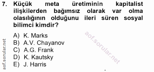 7. soru: Küçük meta üretiminin kapitalist ilişkilerden bağımsız olarak var olma olasılığının olduğunu ileri süren sosyal bilim…