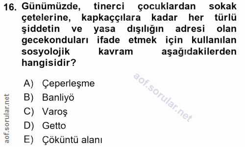 16. soru: Günümüzde, tinerci çocuklardan sokak çetelerine, kapkaççılara kadar her türlü şiddetin ve yasa dışılığın adresi olan…