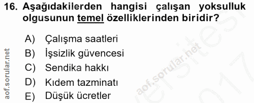16. soru: Aşağıdakilerden hangisi çalışan yoksulluk olgusunun temel özelliklerinden biridir? A) Çalışma saatleri B) İşsizlik gü…