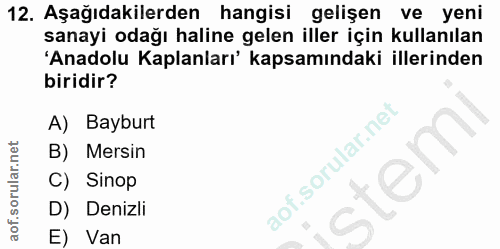12. soru: Aşağıdakilerden hangisi gelişen ve yeni sanayi odağı haline gelen iller için kullanılan 'Anadolu Kaplanları' kapsamın…
