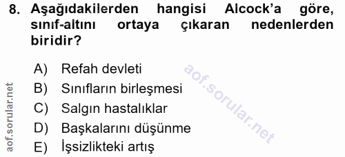 8. soru: Aşağıdakilerden hangisi Alcock'a göre, sinif-altını ortaya çıkaran nedenlerden biridir? A) Refah devleti B) Sınıfları…