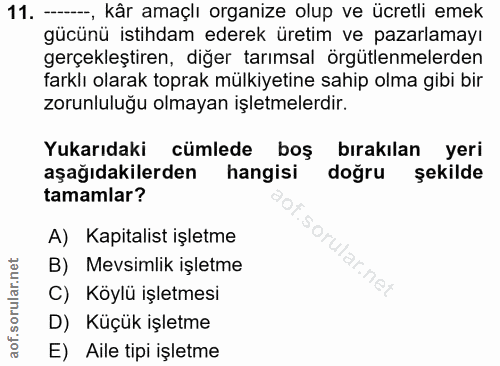 11. soru: ---, kâr amaçlı organize olup ve ücretli emek gücünü istihdam ederek üretim ve pazarlamayı gerçekleştiren, diğer tarı…