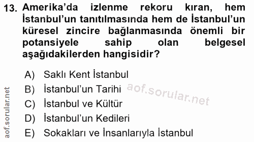 13. soru: Amerika'da izlenme rekoru kıran, hem İstanbul'un tanıtılmasında hem de İstanbul'un küresel zincire bağlanmasında önem…