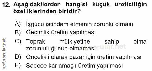 12. soru: Aşağıdakilerden hangisi küçük üreticiliğin özelliklerinden biridir? A) İşgücü istihdam etmenin zorunlu olması B) Geçi…