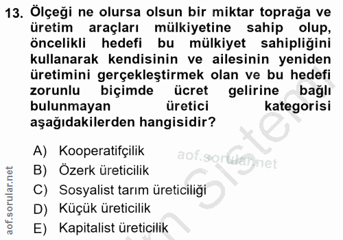 13. soru: Ölçeği ne olursa olsun bir miktar toprağa ve üretim araçları mülkiyetine sahip olup, öncelikli hedefi bu mülkiyet sah…