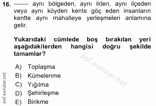16. soru: - aynı bölgeden, aynı ilden, aynı ilçeden veya aynı köyden kente göç eden insanların kentte aynı mahalleye yerleşmele…