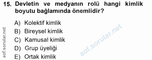 15. soru: Devletin ve medyanın rolü hangi kimlik boyutu bağlamında önemlidir? A) Kolektif kimlik B) Bireysel kimlik C) Kamusal…