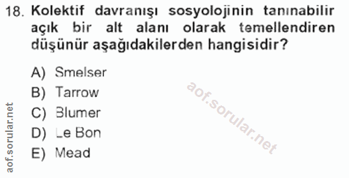 18. soru: Kolektif davranışı sosyolojinin tanınabilir açık bir alt alanı olarak temellendiren düşünür aşağıdakilerden hangisidi…