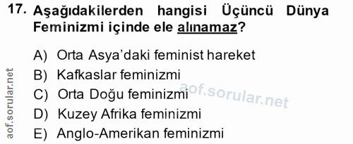 17. soru: Aşağıdakilerden hangisi Üçüncü Dünya Feminizmi içinde ele alınamaz? A) Orta Asya'daki feminist hareket C) Orta Doğu f…