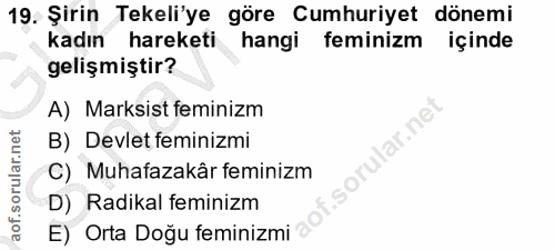 19. soru: Şirin Tekeli'ye göre Cumhuriyet dönemi kadın hareketi hangi feminizm içinde gelişmiştir? A) Marksist feminizm B) Devl…