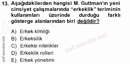 13. soru: Aşağıdakilerden hangisi M. Gutman'ın yeni cinsiyet çalışmalarında "erkeklik" teriminin kullanımları üzerinde durduğu…