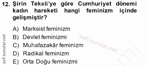 12. soru: Şirin Tekeli'ye göre Cumhuriyet dönemi kadın hareketi hangi feminizm içinde gelişmiştir? A) Marksist feminizm B) Devl…