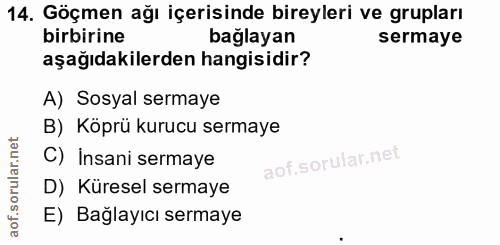 14. soru: Göçmen ağı içerisinde bireyleri ve grupları birbirine bağlayan sermaye aşağıdakilerden hangisidir? A) Sosyal sermaye…