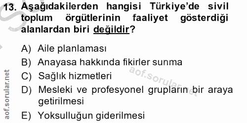 13. soru: Aşağıdakilerden hangisi Türkiye'de sivil toplum örgütlerinin faaliyet gösterdiği alanlardan biri değildir? A) Aile pl…