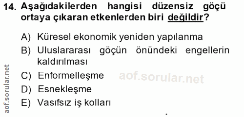 14. soru: Aşağıdakilerden hangisi düzensiz göçü ortaya çıkaran etkenlerden biri değildir? A) Küresel ekonomik yeniden yapılanma…
