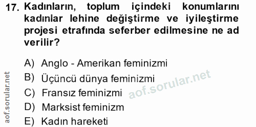 17. soru: Kadınların, toplum içindeki konumlarını kadınlar lehine değiştirme ve iyileştirme projesi etrafinda seferber edilmesi…