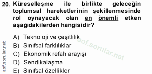 20. soru: Küreselleşme ile birlikte geleceğin toplumsal hareketlerinin şekillenmesinde rol oynayacak olan en önemli etken aşağı…