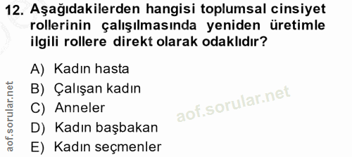 12. soru: Aşağıdakilerden hangisi toplumsal cinsiyet rollerinin çalışılmasında yeniden üretimle ilgili rollere direkt olarak od…