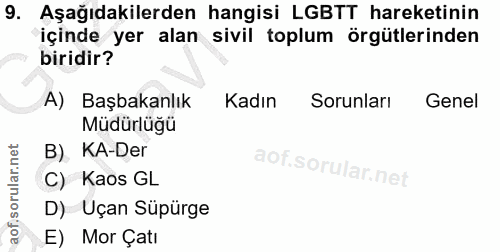 9. soru: Aşağıdakilerden hangisi LGBTT hareketinin içinde yer alan sivil toplum örgütlerinden biridir? A) Başbakanlık Kadın So…