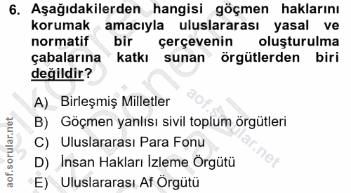 6. soru: Aşağıdakilerden hangisi göçmen haklarını korumak amacıyla uluslararası yasal ve normatif bir çerçevenin oluşturulma ç…