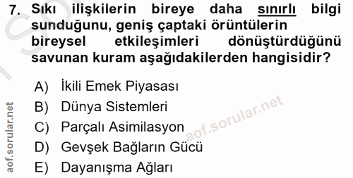 7. soru: Sıkı ilişkilerin bireye daha sınırlı bilgi sunduğunu, geniş çaptaki örüntülerin bireysel etkileşimleri dönüştürdüğünü…